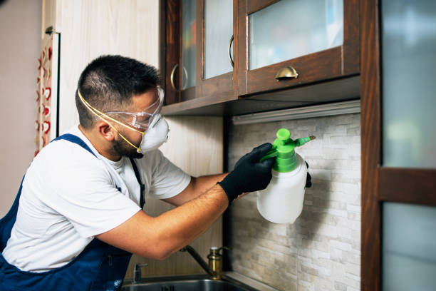 Professional Pest Control in Adairsville, GA