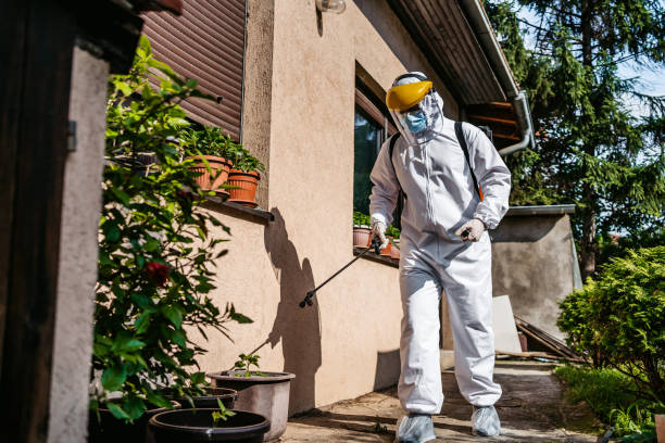 Best Commercial Pest Control Services  in Adairsville, GA
