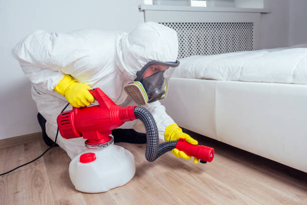 Best Local Pest Control Services  in Adairsville, GA