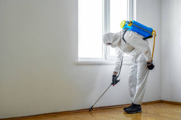 Best Affordable Pest Control Services  in Adairsville, GA