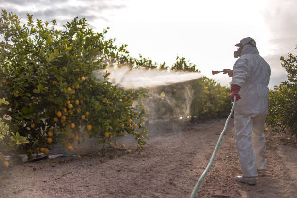 Best Best Pest Control Companies  in Adairsville, GA