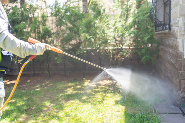 Best Insect Control  in Adairsville, GA