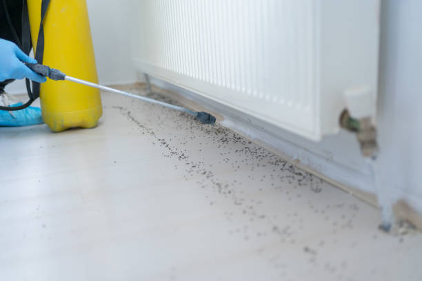 Best Pest Control Near Me  in Adairsville, GA